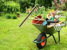 Una carriola con attrezzi da giardinaggio