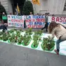 2016 PADOVA - FLASH MOB LEGAMBIENTE CONTRO CEMENTIFICAZIONE