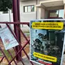 I volatini di sollecito