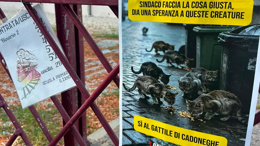 I volatini di sollecito