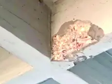 Il danno alla trave provocato dal camion
