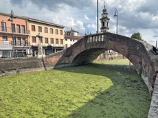 Un canale infestato da Ludwigia (Battaglia Terme)