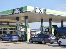 Un distributore in Slovenia (foto Daniele Tibaldi)