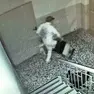 Il ladro ripreso dalle telecamere di sorveglianza