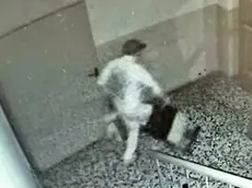 Il ladro ripreso dalle telecamere di sorveglianza