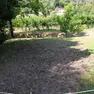 I danni al giardino del locale Miravalle a Montegrotto