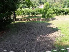 I danni al giardino del locale Miravalle a Montegrotto