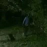 Uno dei ladri ripreso da una videocamera di sorveglianza