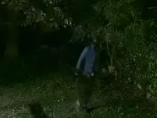 Uno dei ladri ripreso da una videocamera di sorveglianza