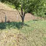 I danni nei Colli Euganei