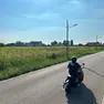 Il terreno di Mortise visto da via Cascino