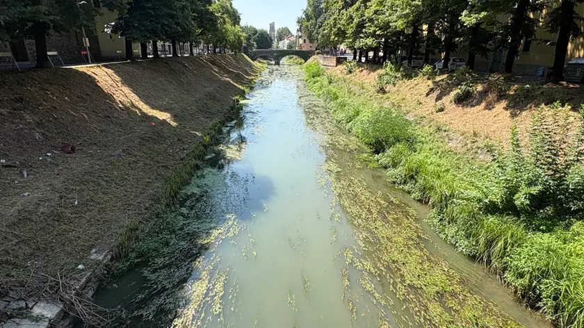 Siccità, soffre la Bassa padovana