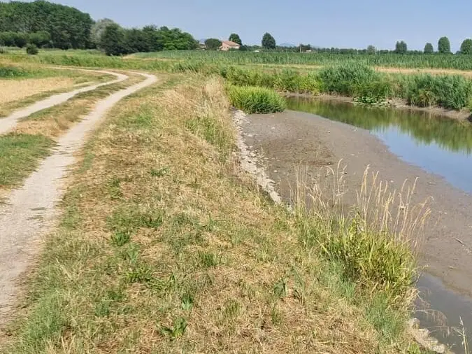 Trovato morto dentro una canale a Bovolenta