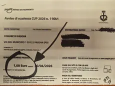 L'avviso di scadenza della tassa