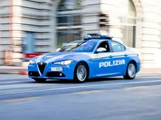 L'uomo è stato arrestato in hotel a Limena
