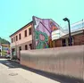 Il murale dell’artista padovano Tony Gallo ormai nascosto (foto Zangirolami)