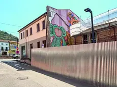 Il murale dell’artista padovano Tony Gallo ormai nascosto (foto Zangirolami)