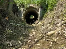 Uno dei canali dell’irrigazione completamente a secco nell’Alta Padovana