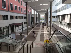 L'ospedale Ca' Foncello