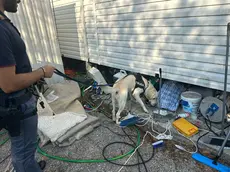 I controlli in uno dei campi nomadi