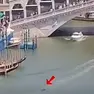 Il delfino immortalato a Rialto