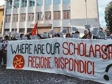 Una manifestazione dell'Udu (foto d'archivio)