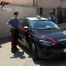 I due ladri sono stati denunciati dai carabinieri