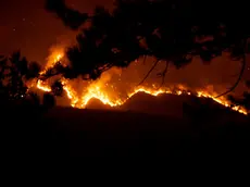 Il fuoco nella notte, il fumo di giorno. L’Amariana e l’Amarianute continuano a bruciare mentre Vigili del fuoco, Protezione civile, volontari e mezzi aerei lavorano senza sosta per contenere gli incendi. Le immagini che ci stanno arrivando in redazione, sono centinaia quelle dei lettori, raccontano ore difficili per la Carnia: boschi in fiamme, versanti coperti dal fumo e lo sguardo di chi, da valle, continua a seguire l’avanzata del fuoco.