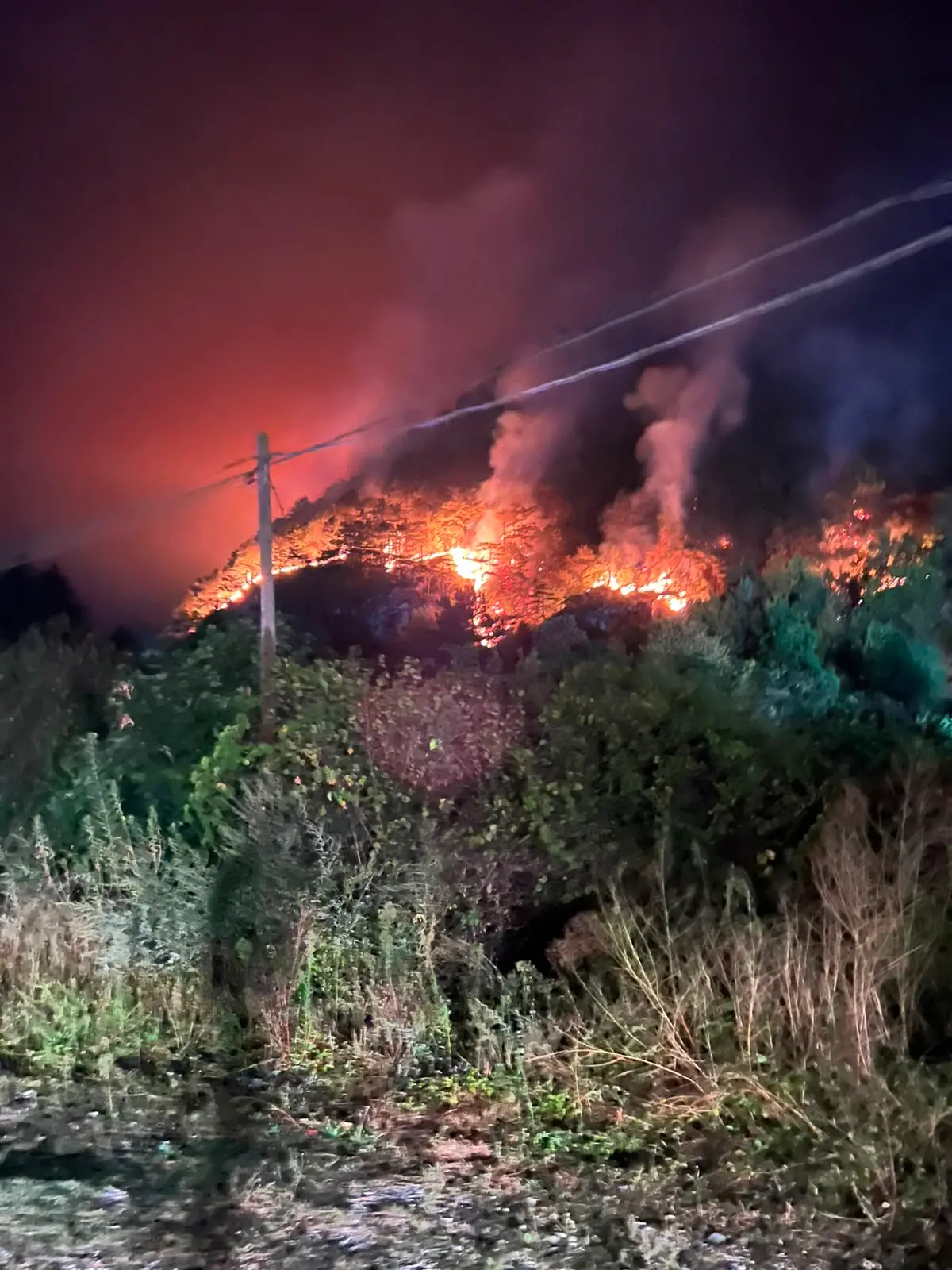 Il fuoco nella notte, il fumo di giorno. L’Amariana e l’Amarianute continuano a bruciare mentre Vigili del fuoco, Protezione civile, volontari e mezzi aerei lavorano senza sosta per contenere gli incendi. Le immagini che ci stanno arrivando in redazione, sono centinaia quelle dei lettori, raccontano ore difficili per la Carnia: boschi in fiamme, versanti coperti dal fumo e lo sguardo di chi, da valle, continua a seguire l’avanzata del fuoco.