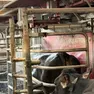 La doccia per mucche nell'allevamento hi-tech