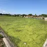 Le immagini del tappeto verde allechiuse di Voltabarozzo (Foto Bianchi)