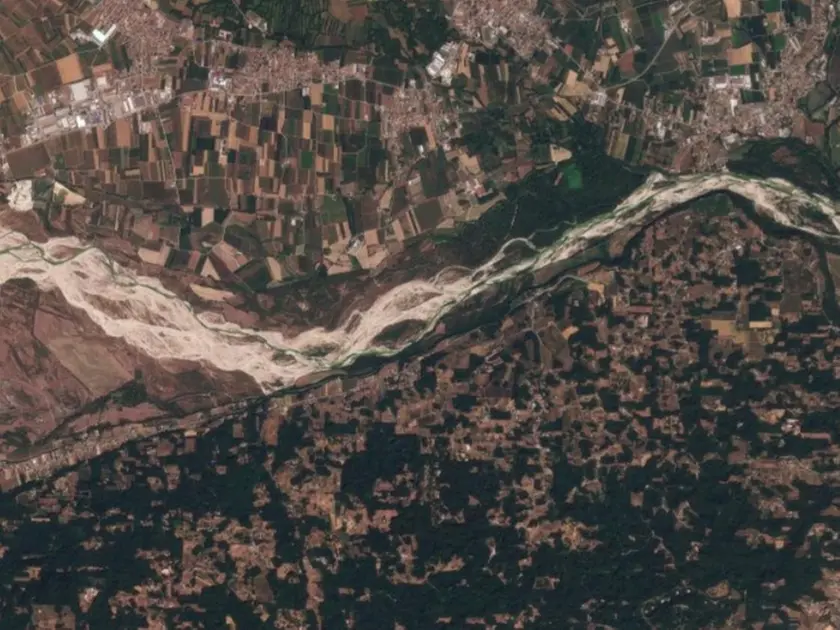 Bosco di Vidor, in provincia di Treviso, attraversato dal fiume Piave