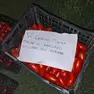 Il biglietto lasciato sulle casse di pomodori dal ladro pentito