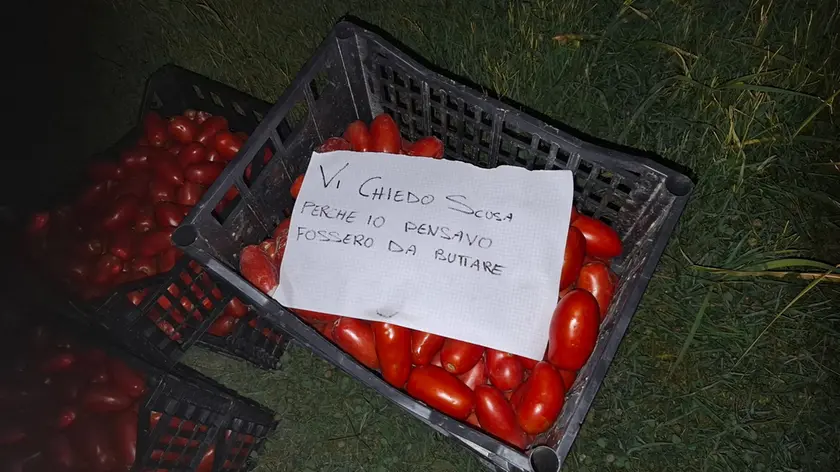 Il biglietto lasciato sulle casse di pomodori dal ladro pentito