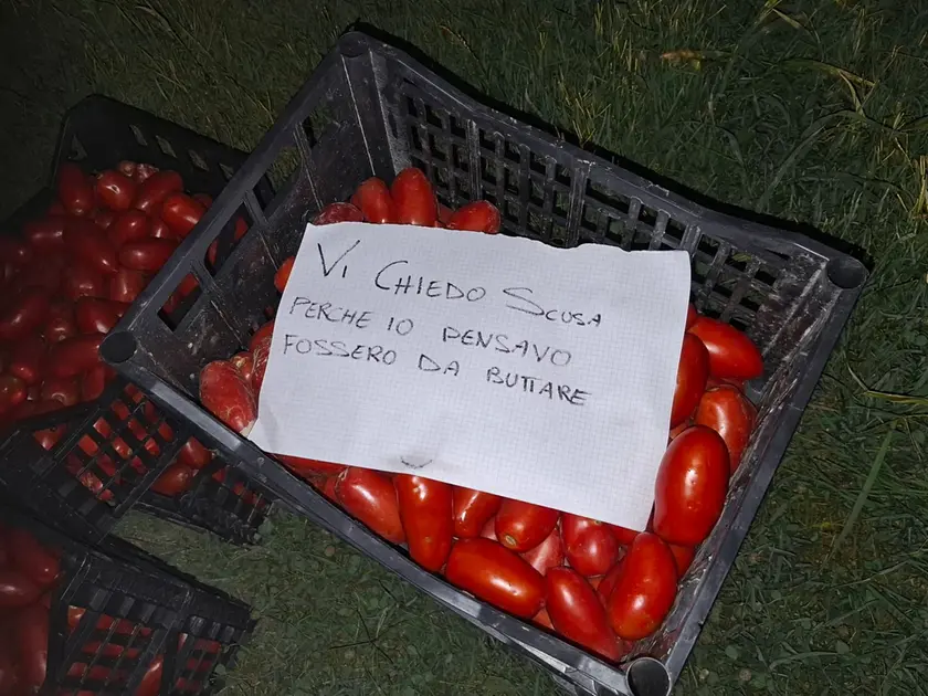 Il biglietto lasciato sulle casse di pomodori dal ladro pentito