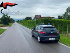 Sul posto i carabinieri di Carmignano di Brenta
