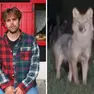 A sinistra Federico Palmegiano, a destra l’esemplare di lupo, un maschio, filmato nella notte in Val Bartolo