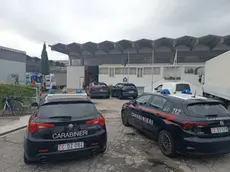 Sul posto i carabinieri di Cittadella e Tombolo