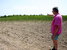 I campi bruciati dalla siccità