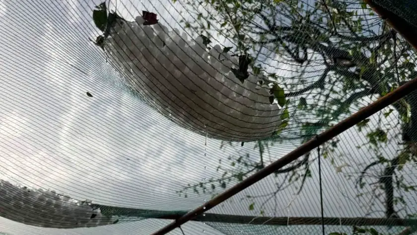 La grandine caduta