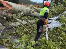 Maltempo nel Padovano: due feriti