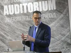Stefano Bellon