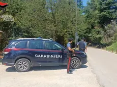 Numerose le infrazioni sulle strade dei Colli