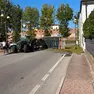 Il carico d'uva caduto