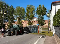Il carico d'uva caduto