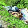 I rifiuti abbandonati in via Boscalto a Resana