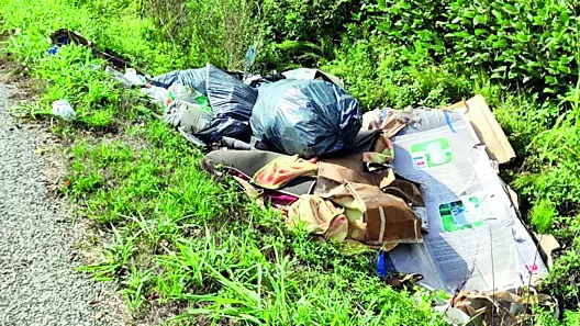 I rifiuti abbandonati in via Boscalto a Resana