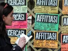 Affittasi e cercasi a Padova