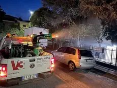La disinfestazione all'Arcella