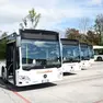 Dolomitibus, ventuno pagine di criticità: «Il servizio va migliorato»